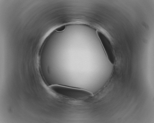 X0000114401476200910161305