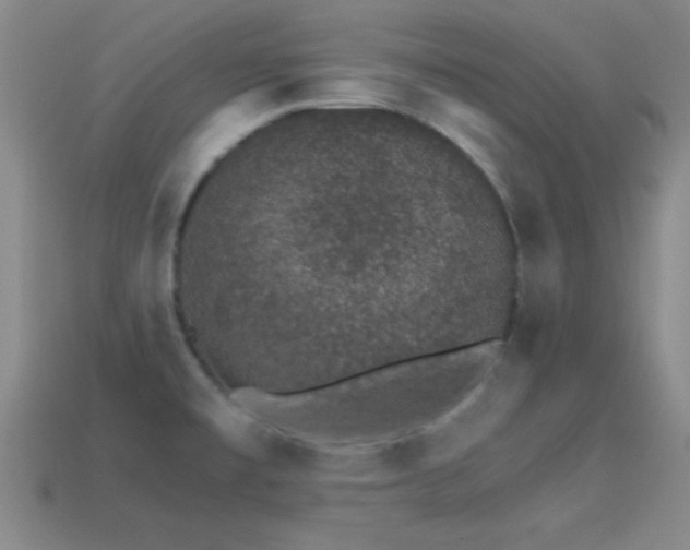 X0000114401477200910161305