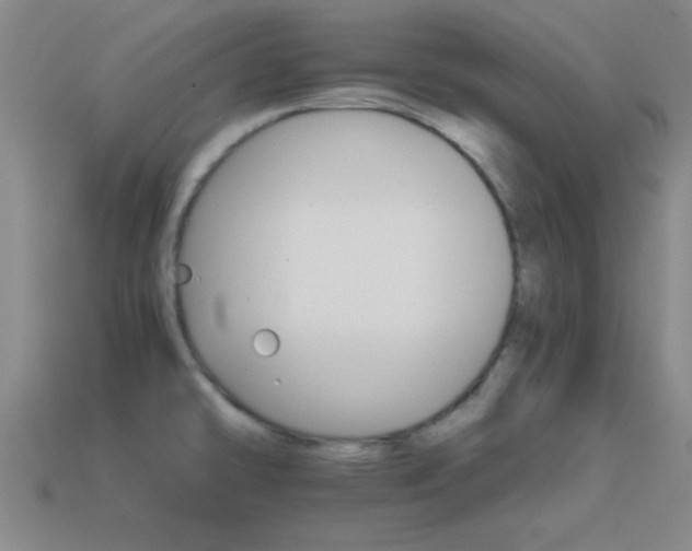 X0000114401478200910161305