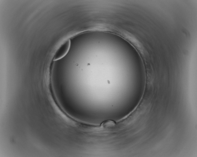 X0000114401479200910161305