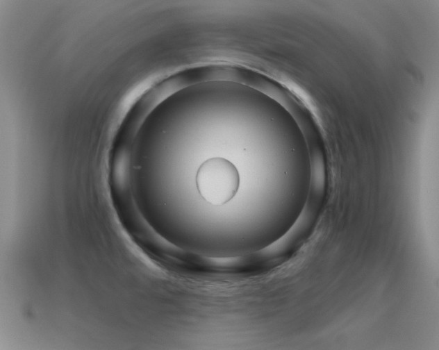 X0000114401480200910161305