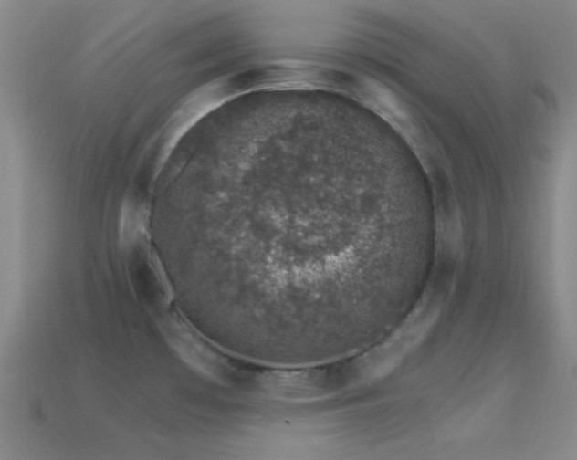 X0000114401481200910161304