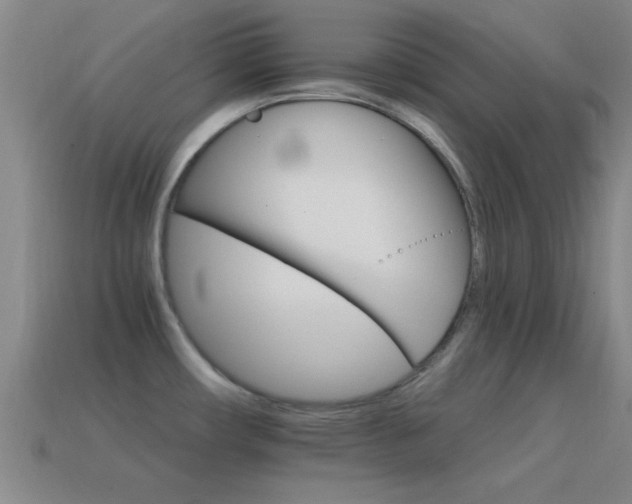 X0000114401482200910161304