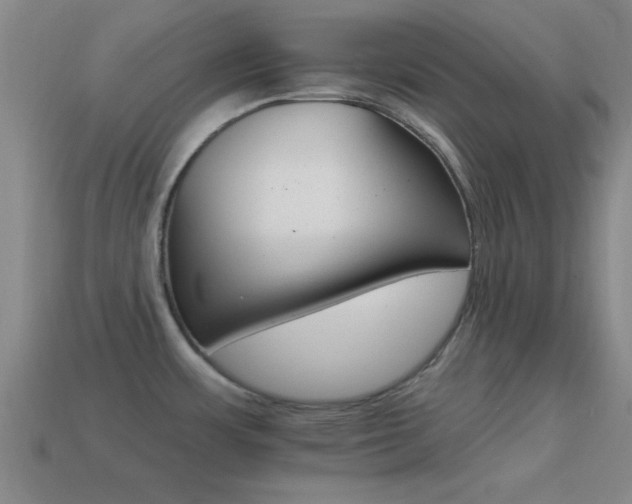 X0000114401483200910161304