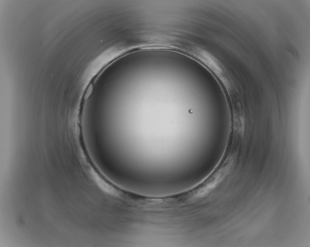 X0000114401485200910161304