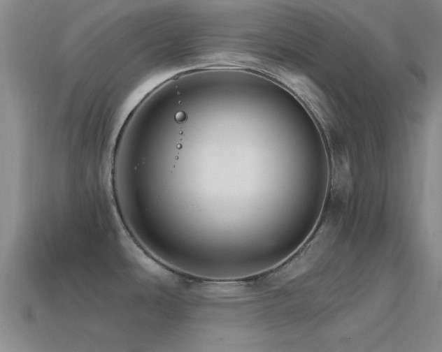 X0000114401486200910161304