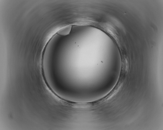 X0000114401487200910161304