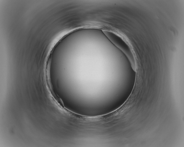 X0000114401488200910161304