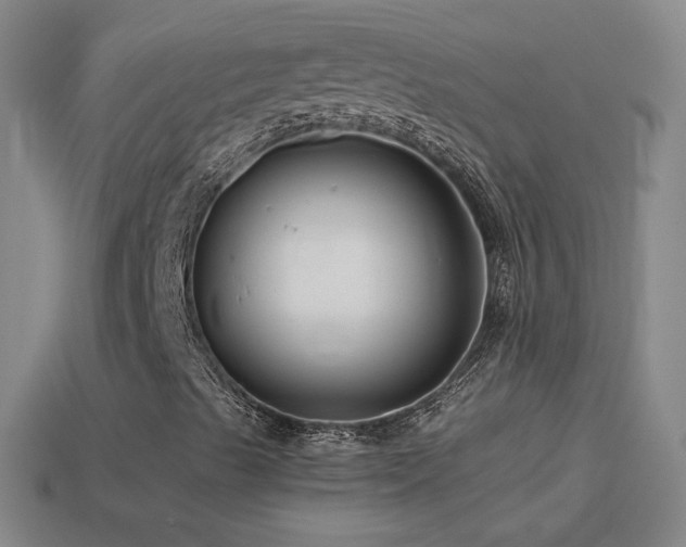 X0000114401489200910161304