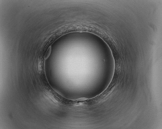 X0000114401490200910161304