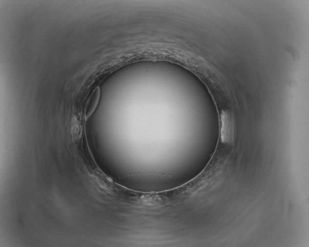 X0000114401491200910161304