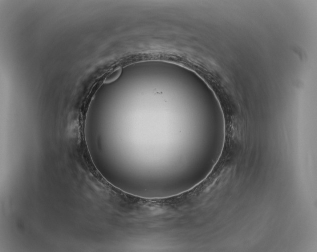 X0000114401493200910161304