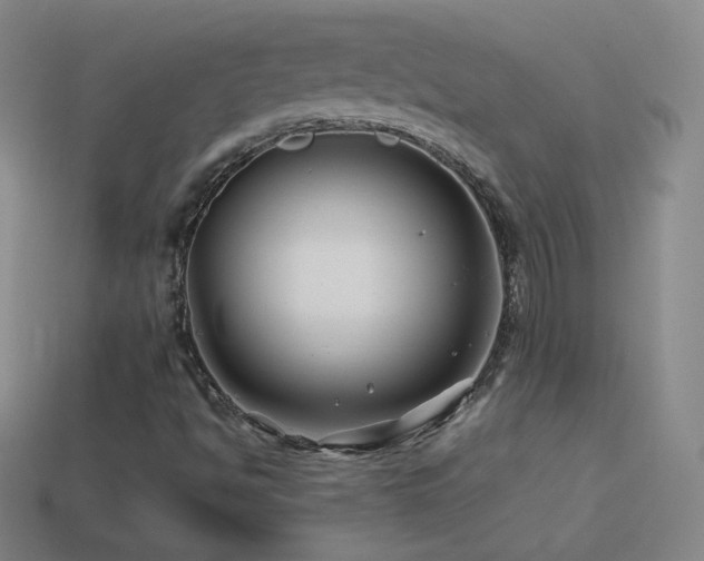 X0000114401494200910161304