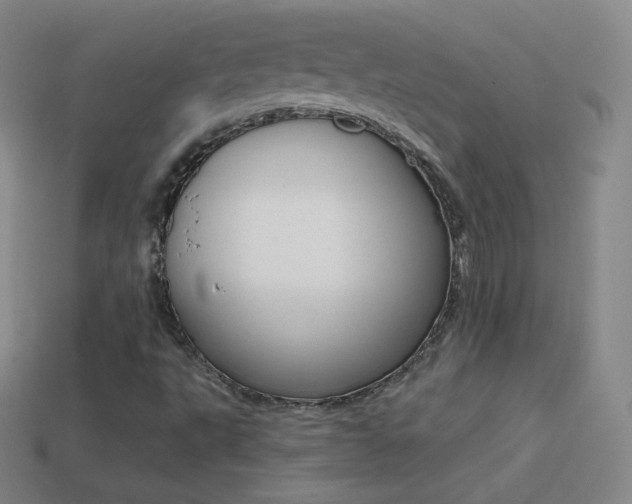 X0000114401495200910161304