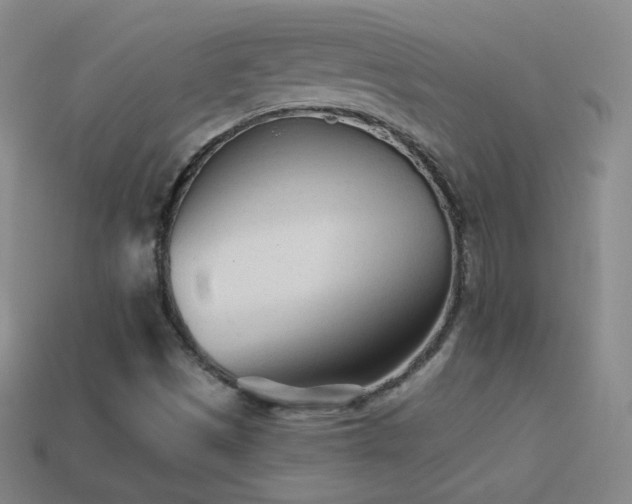 X0000114401497200910161304