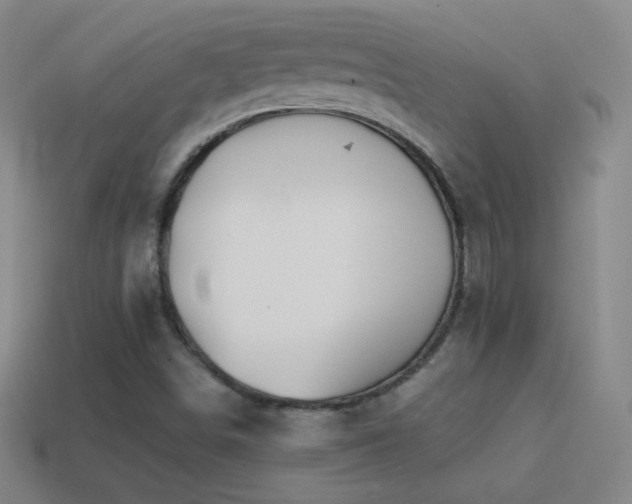 X0000114401498200910161304