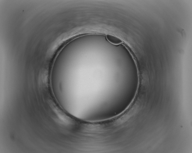 X0000114401499200910161304