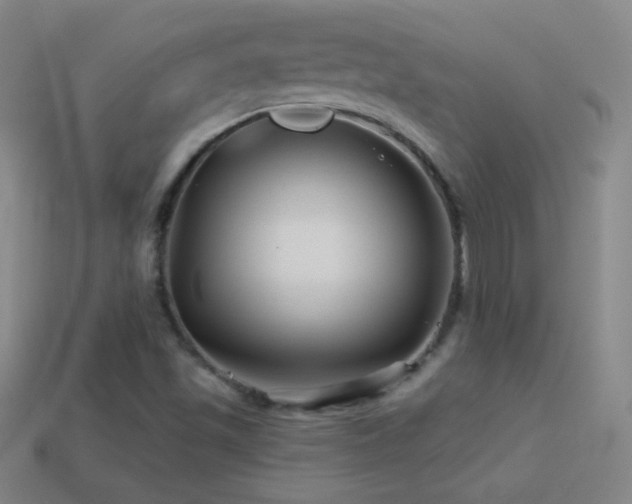 X0000114401501200910161304