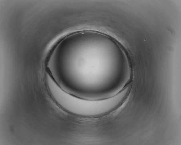 X0000114401502200910161304