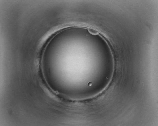 X0000114401503200910161304