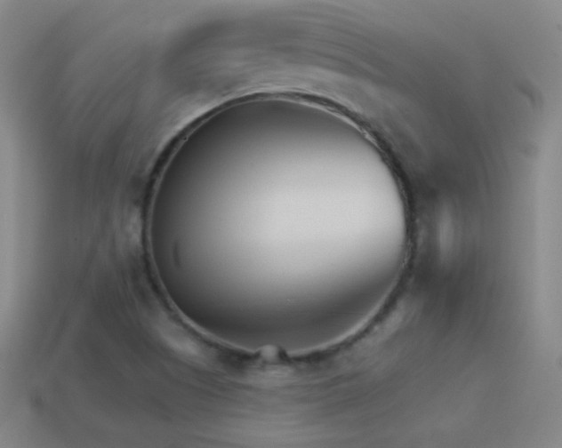 X0000114401505200910161304