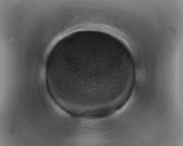 X0000114401506200910161304