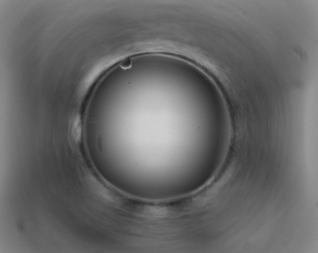 X0000114401509200910161304