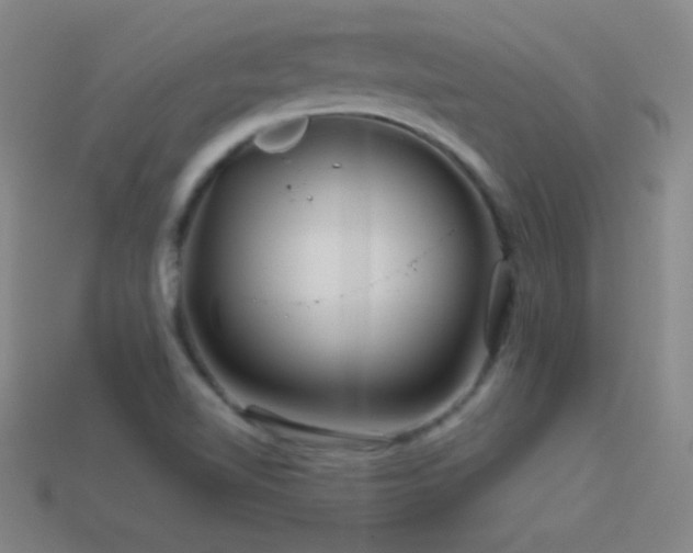 X0000114401510200910161304