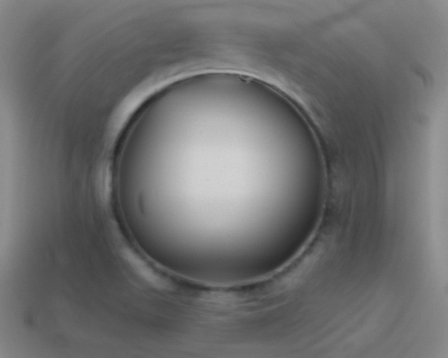 X0000114401511200910161304