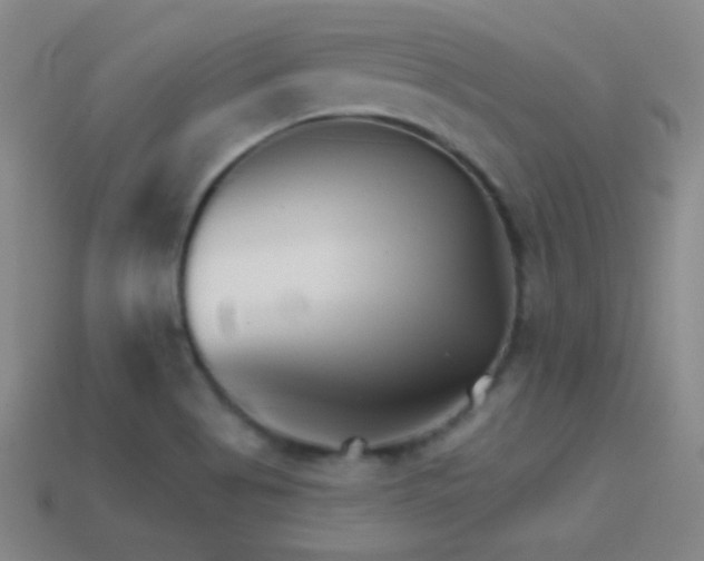 X0000114401513200910161304