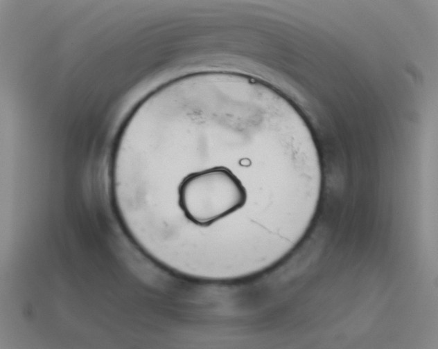 X0000114401514200910161304