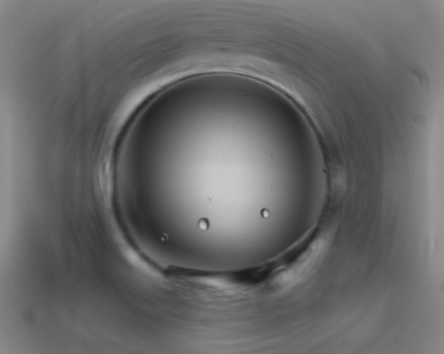 X0000114401515200910161304