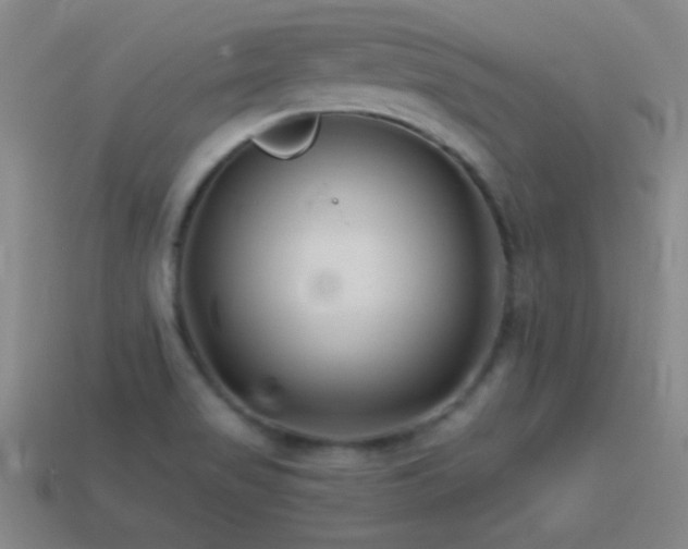 X0000114401517200910161304