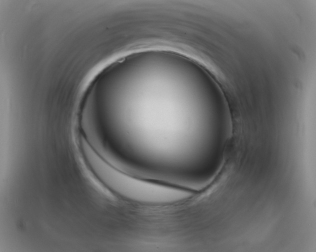 X0000114401518200910161304