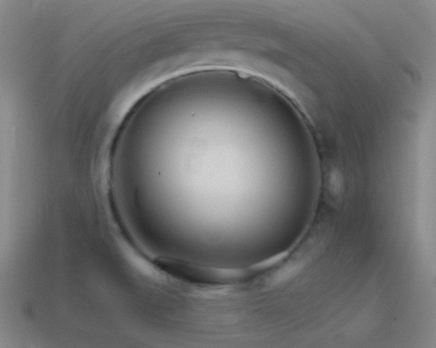 X0000114401519200910161304