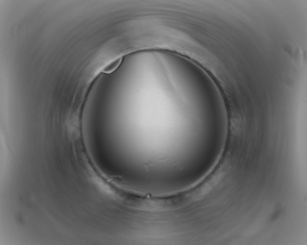 X0000114401521200910161304