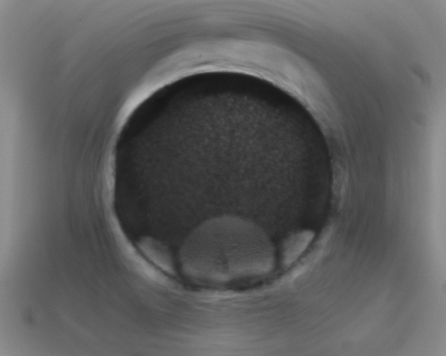 X0000114401522200910161304