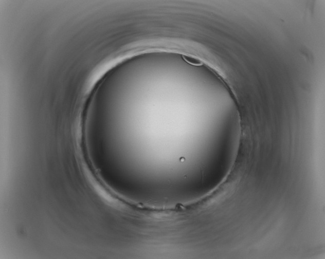 X0000114401523200910161304