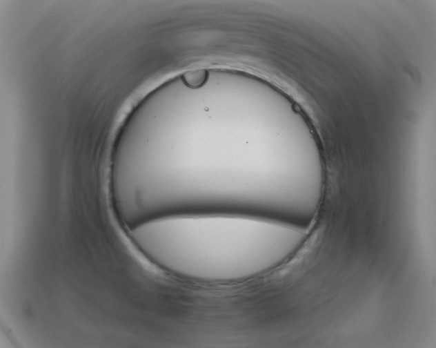 X0000114401525200910161304