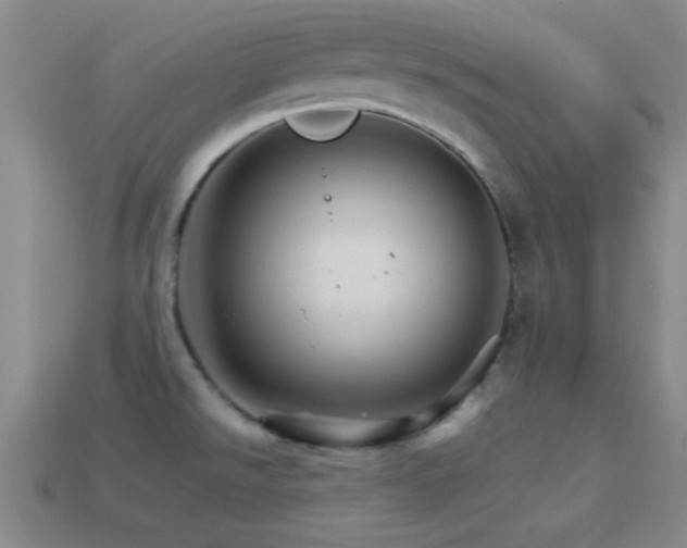 X0000114401526200910161304