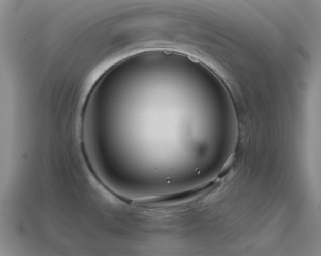 X0000114401527200910161304