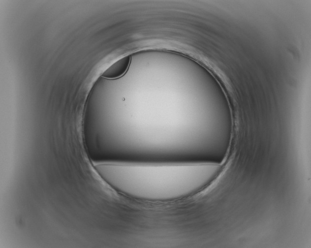 X0000114401529200910161304