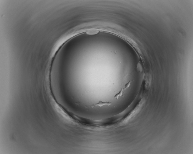 X0000114401530200910161304