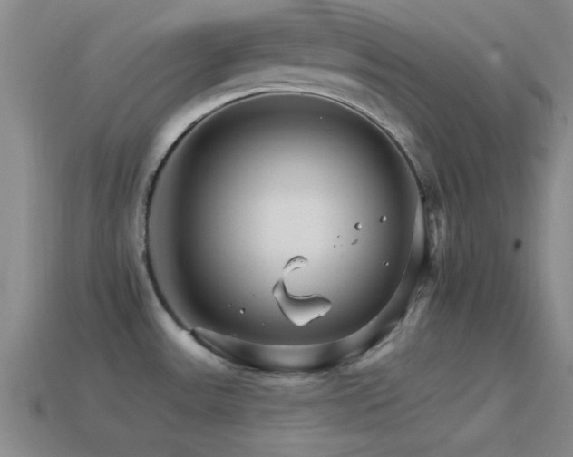 X0000114401531200910161304