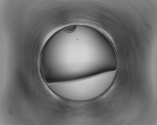 X0000114401533200910161304