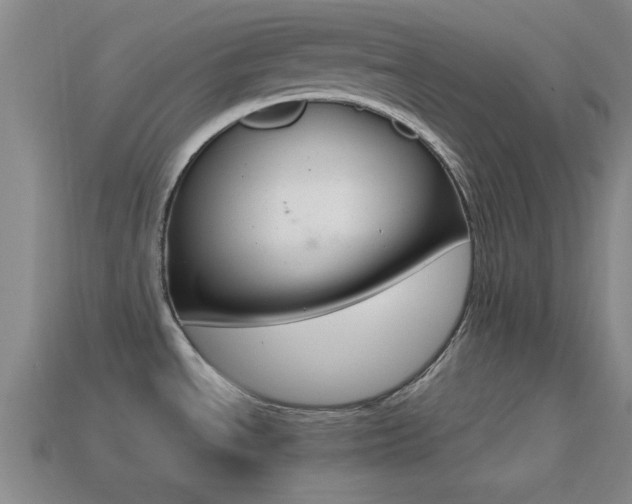 X0000114401534200910161304