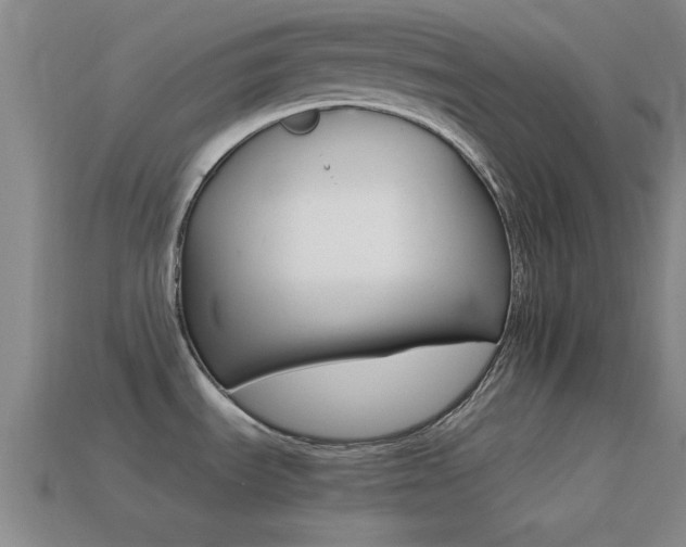 X0000114401535200910161304