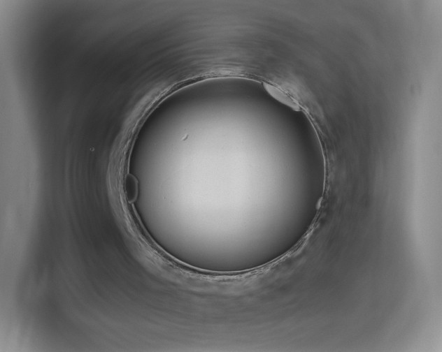 X0000114400001200910231119