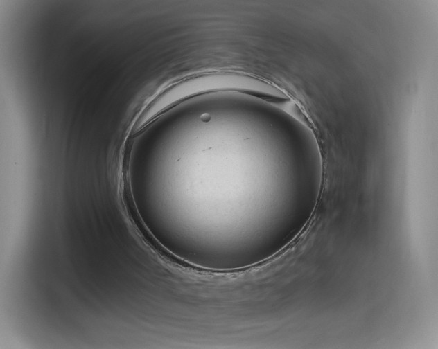 X0000114400002200910231119