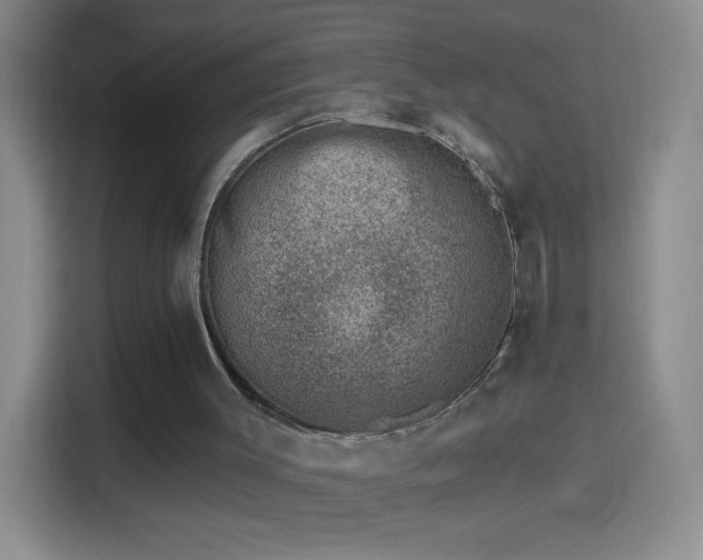 X0000114400003200910231119